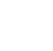 icono instagram